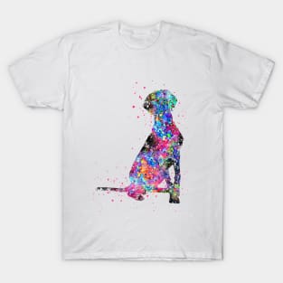 Vizsla, Hungarian Vizsla T-Shirt